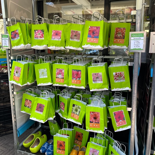 tulpen_kaufen_keukenhof